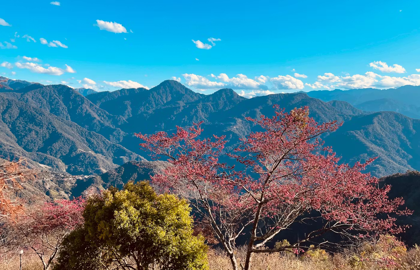 合歡山清境景色